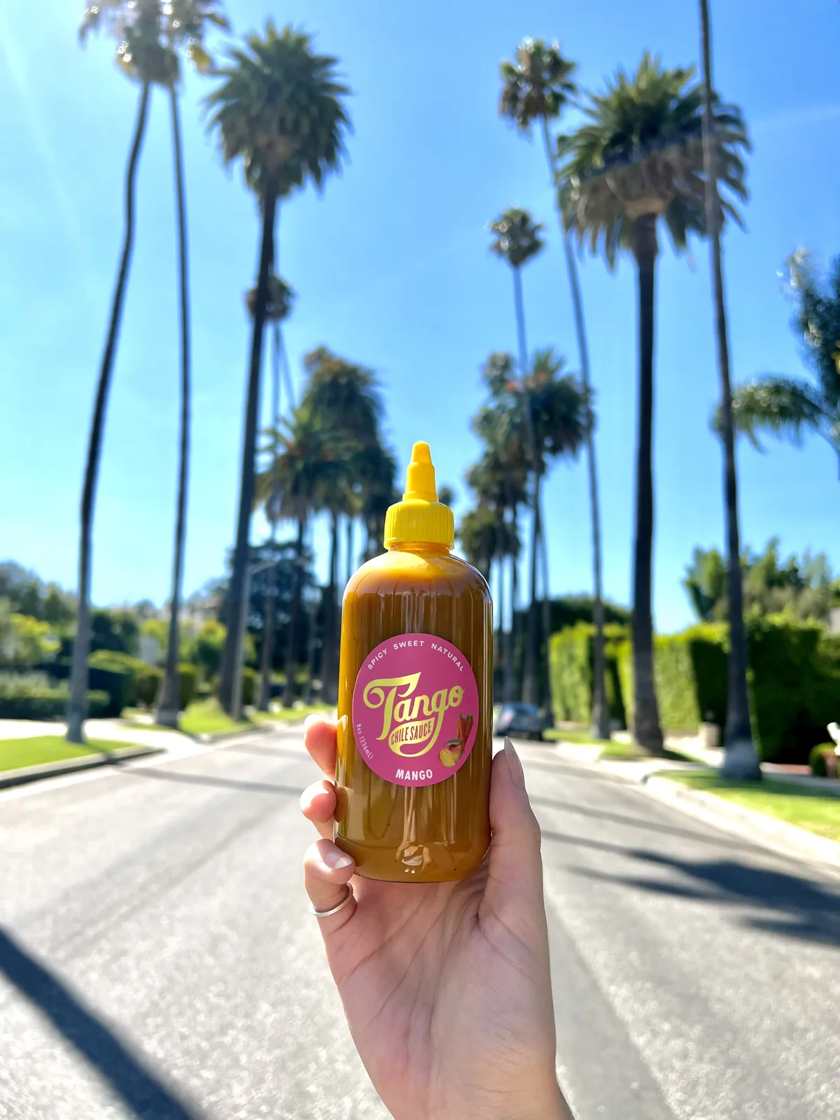 Mango Tango with food