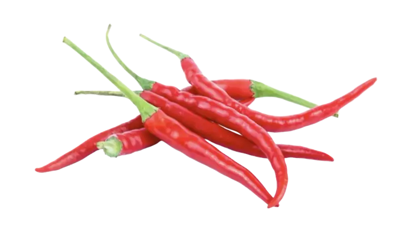 Thai Chili